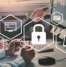 Cybersecurity Is a Team Sport: The Role of Everyone from Interns to Executives